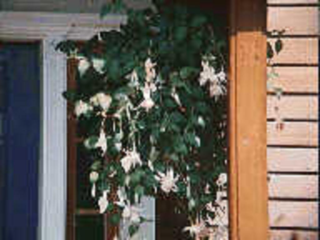 Chesapeake Inn Of Lenox Exterior photo